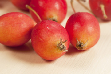 Crab (Paradise) apples