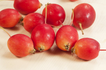 Crab (Paradise) apples