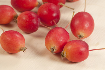 Crab (Paradise) apples