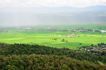 Fototapeta na wymiar nature view on rainy season in Chiang Rai,Thailand
