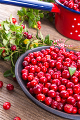 Lingonberries