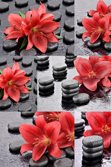 Czerwone lilie z kamieniami bazaltowymi do spa - obrazy, fototapety, plakaty
