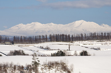 冠雪した大雪山