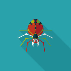 Spider flat icon with long shadow,eps10