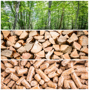 Collage Of Pellet Wood Stack And Green Forest Pellet Production Concept