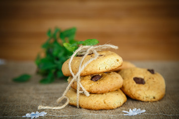 homemade cookies with chocolate chips