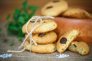homemade cookies with chocolate chips