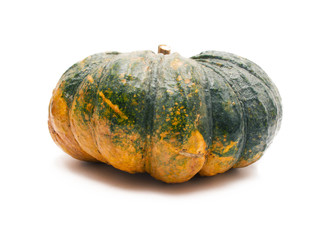 pumpkin isolated on white