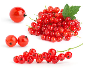 Red currants