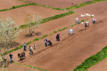 Obraz premium anadoluda yaşam