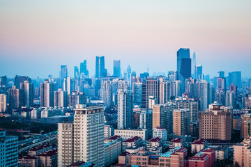 urban forest buildings at dusk