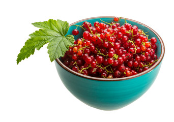 Red currant