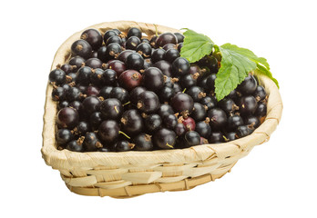 Black currant