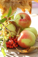 Fresh apples