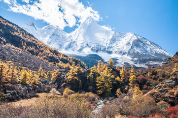 Obraz premium landscape autumn