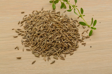 Zia seeds
