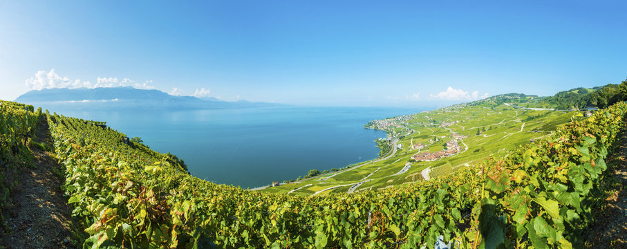 Lavaux Panorama