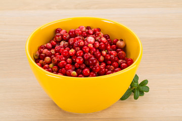 Cowberry