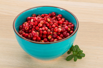 Cowberry