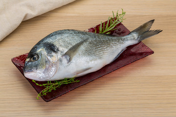 Raw dorado