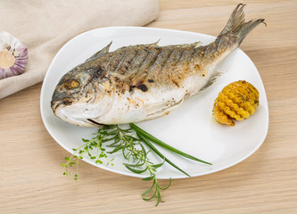 Grilled dorado