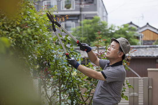 A man working in his garden.