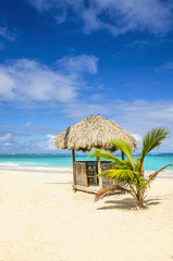 A beautiful Caribbean beach with hut covered with palm leaves