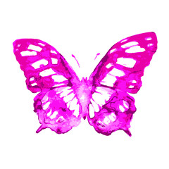 butterflies design