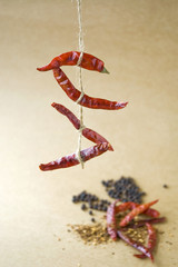 red chili hanging with spice background