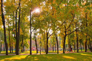 city ​​park in autumn