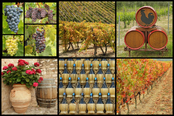 tuscan wine collage