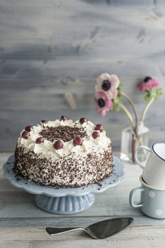 Black Forest Cake on blue cake stand in front of grey background