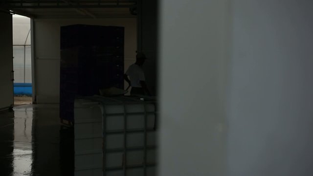 persone al lavoro, azienda agricola