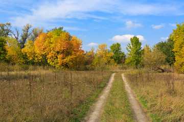 Fototapeta na wymiar rut road among autumn meadow