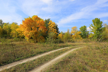 Fototapeta premium road on autumn meadow