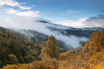 Paysage automne