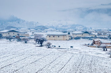 Winter landscape