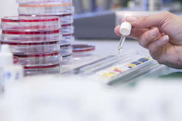 Female food analyst working in laboratory, detail
