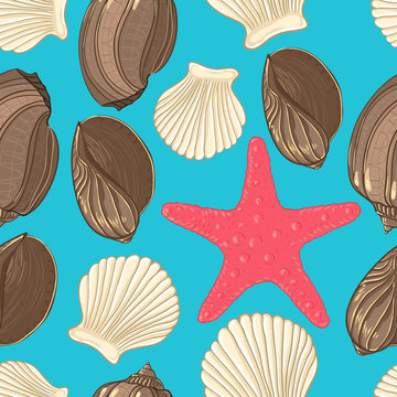 Seamless background with  shells starfish