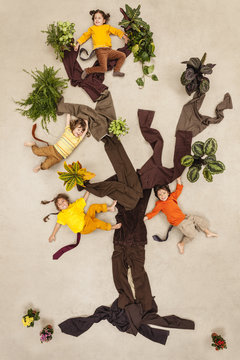 Children playing monkeys in tree