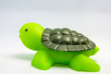Obraz premium Little sea turtle 2