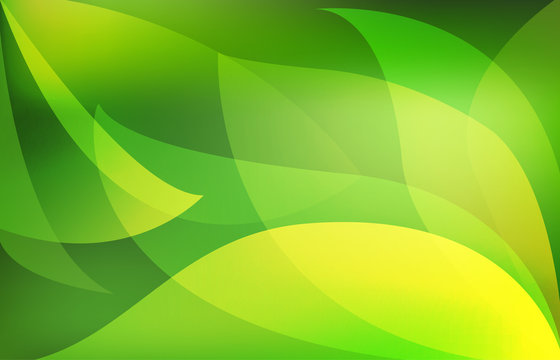 green vector wallpaper