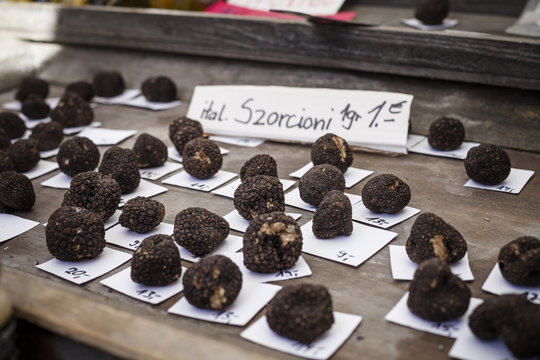 Germany, Munich, market stall with black truffles at Viktualienmarkt