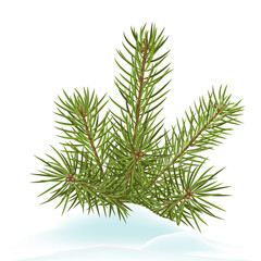 Tannenzweig, Tannengrün, Tanne, Schnee, Winter, Nadelbaum, xmas