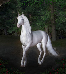 Unicorn in a night forest