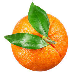 Orange fruit with leaves isolated on white. Top view.