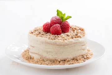 delicious cake with custard and raspberry, close-up