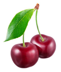 Two cherries with leaf isolated on white background