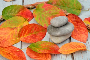 Fototapeten Zen stenen  met herfstbladeren  op oud hout. © trinetuzun