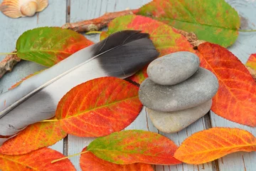 Foto auf Leinwand Zen stenen  met herfstbladeren en veer op oud hout. © trinetuzun